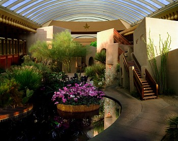 Work: Oliver Wasow Orchid show, Boulders Resort, Arizona, 2002